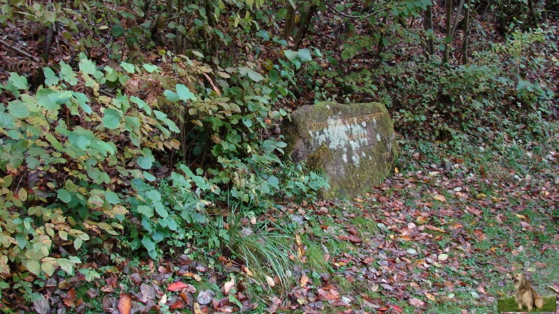 Ritterstein Nr. 218-3 Ruine Karolingisches Gehöft, 750-850, jetzt im Weiher.JPG - Ritterstein Nr.218 Ruine Karolingisches Gehöft, 750-850, jetzt im Weiher